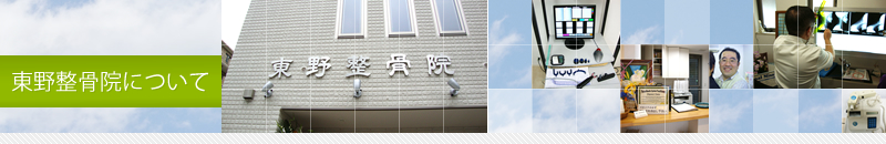 東野整骨院について